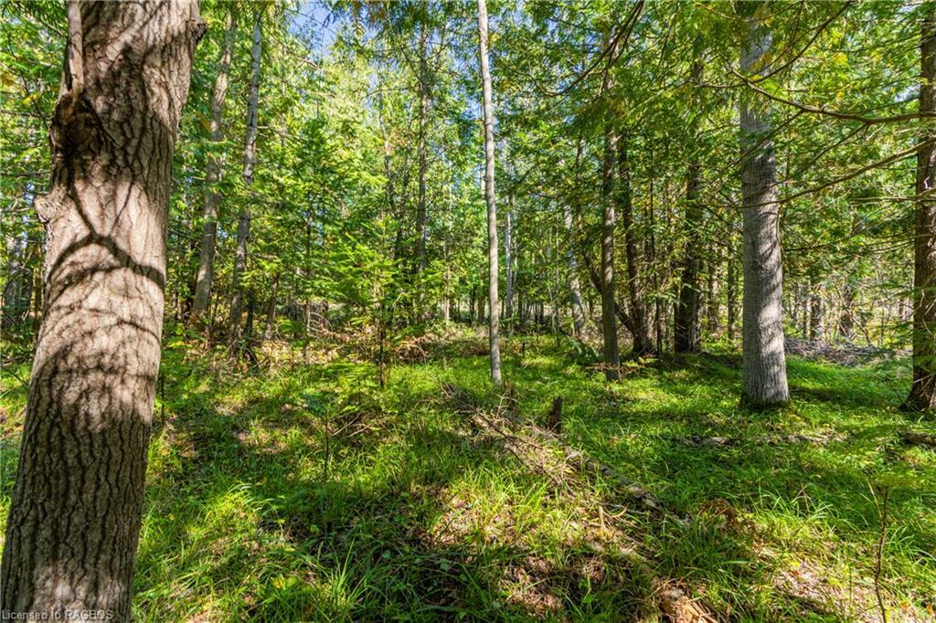 Property Photo:  Lot 36 Con D Sauble Falls Parkway  ON N0H 2T0 