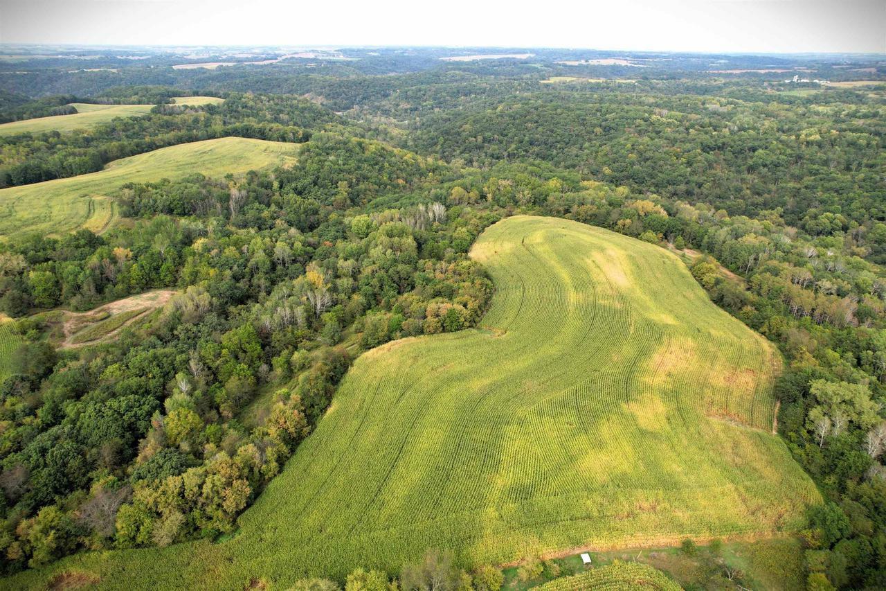 Property Photo:  102 +/- Acres North Buck Creek Road  WI 54628 