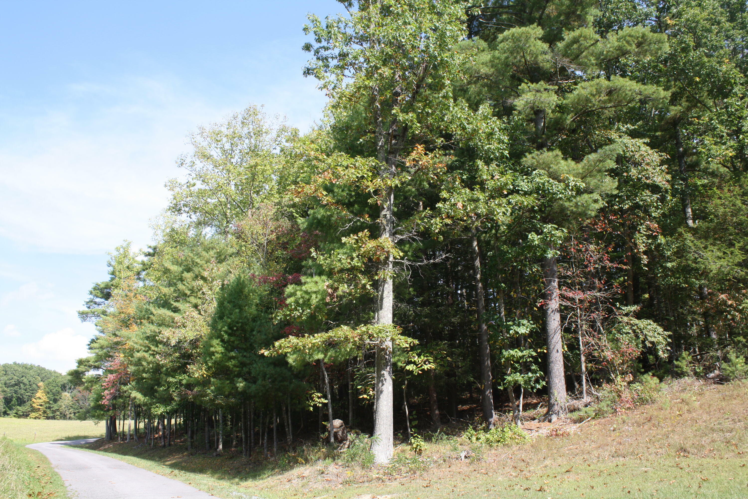 Property Photo:  Lot 25 Old St Clair Road Pipestem Pointe  WV 25979 