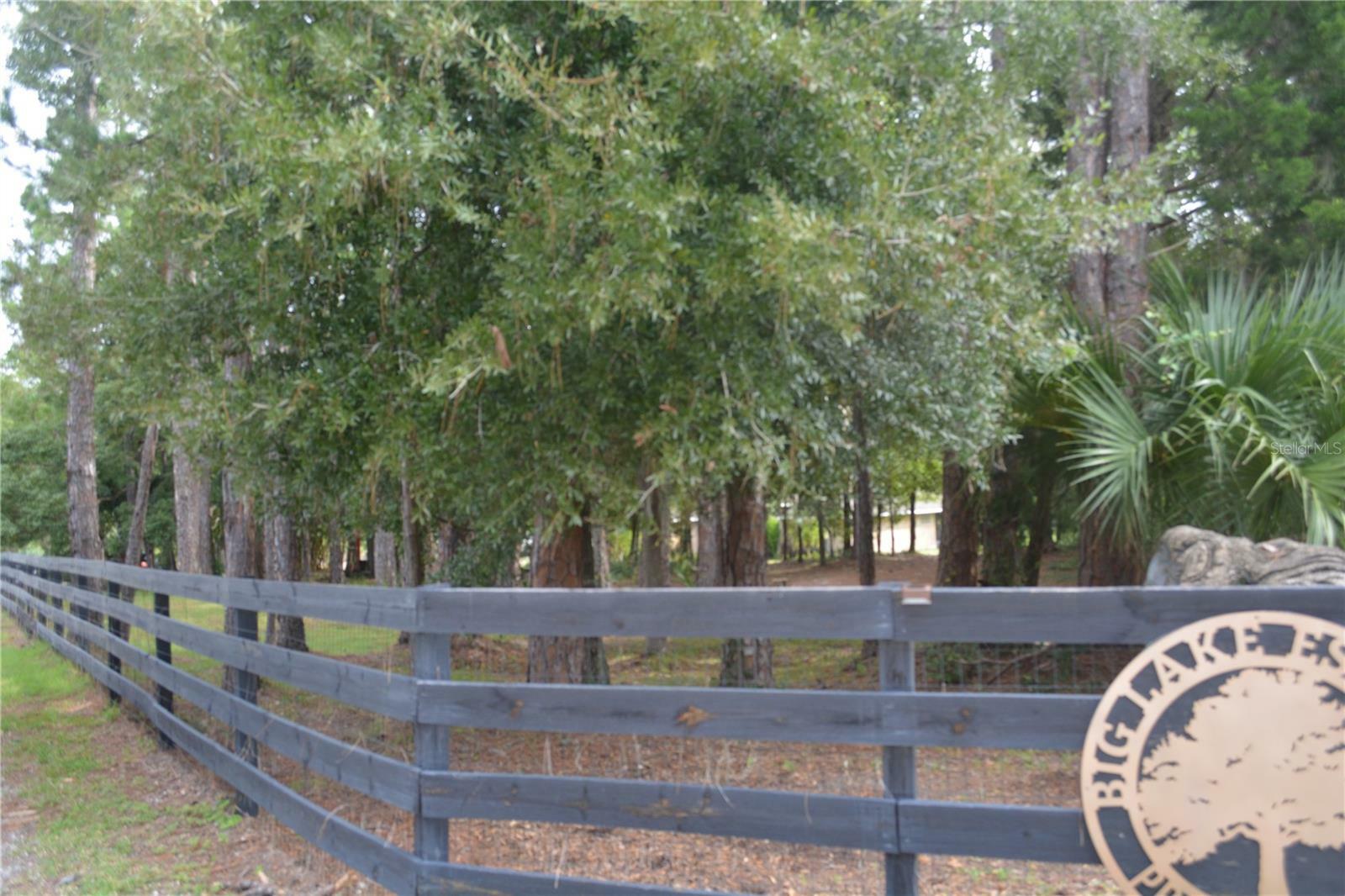 Property Photo:  160 Big Lake Drive  FL 32738 