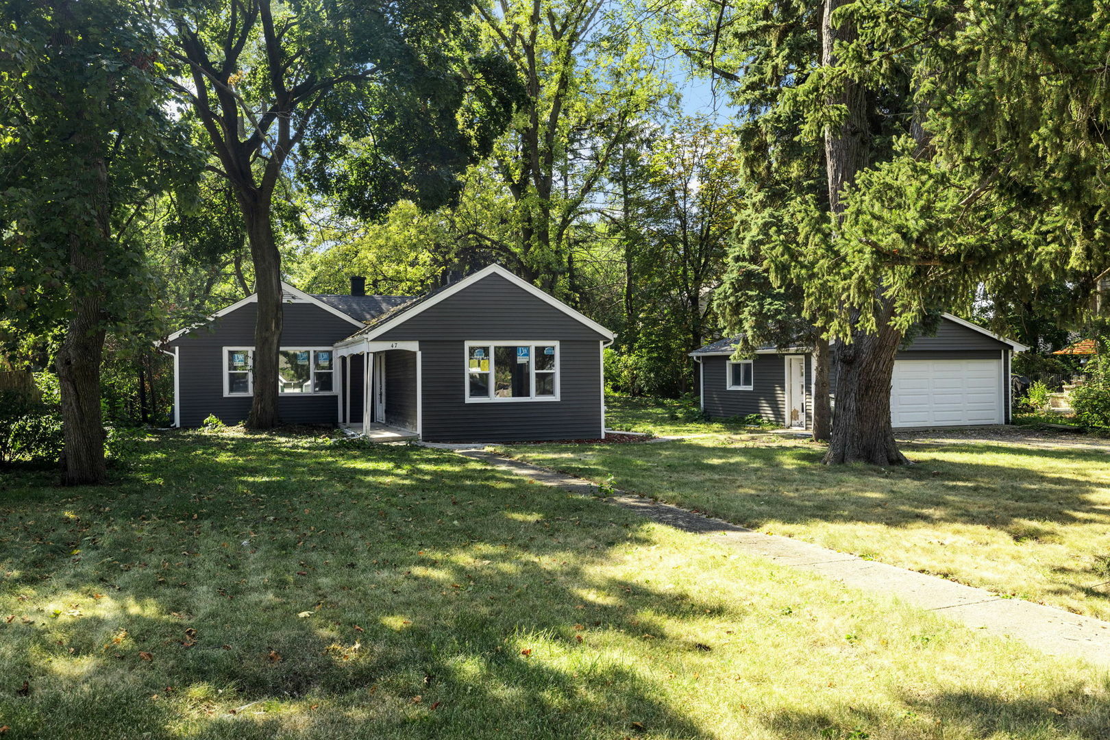 Property Photo:  47 E Des Moines Street  IL 60559 