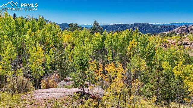Property Photo: 288 Wildhorse Road CO 80813