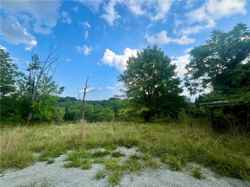 Property Photo:  1054 Eldersville Rd  PA 15021 