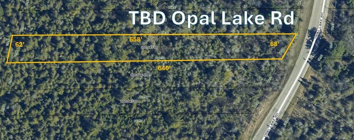 Opal Lake Road  Gaylord MI 49735 photo