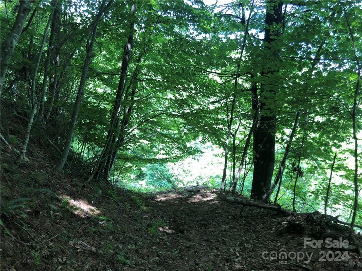 Property Photo: 000 N Blue Ridge Parkway E 167 NC 28640