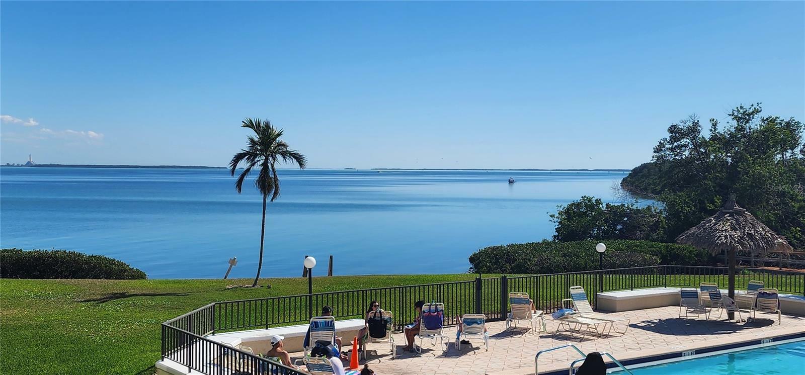 Property Photo: 6372 Palma Del Mar Boulevard S 217 FL 33715