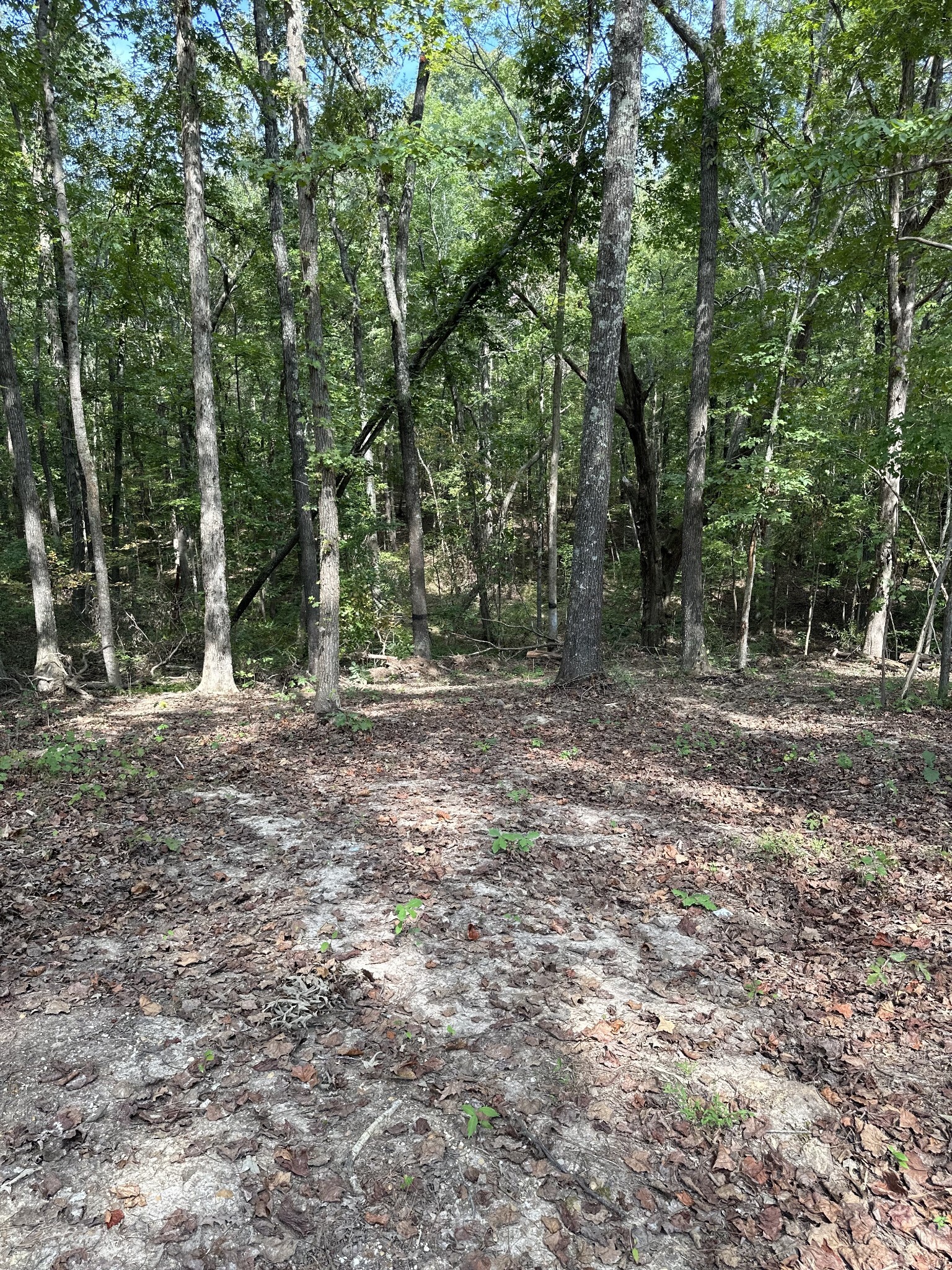 Property Photo: 0 News Circle TN 38222