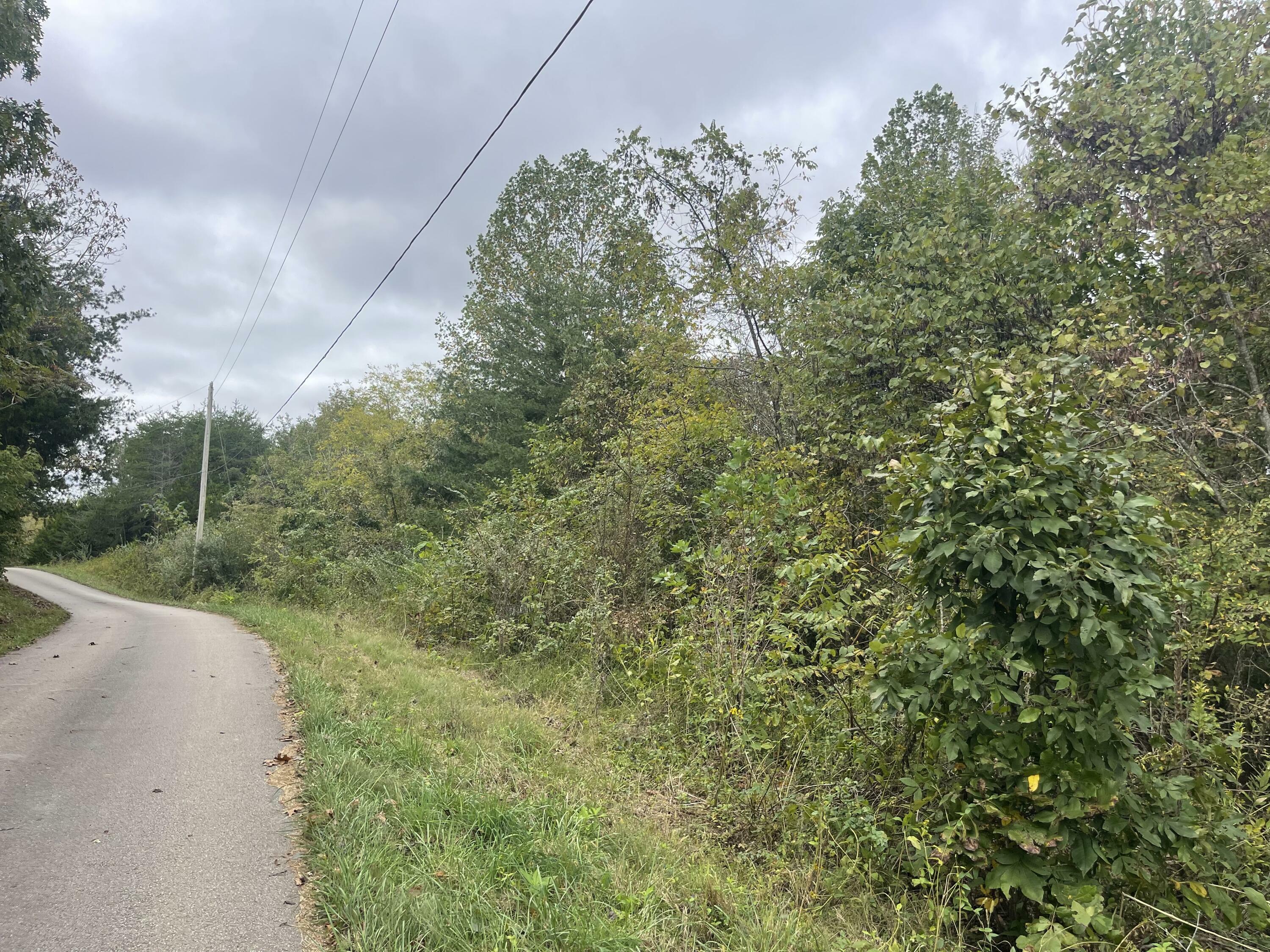 Property Photo:  Lot 51 Shepperd  KY 42544 