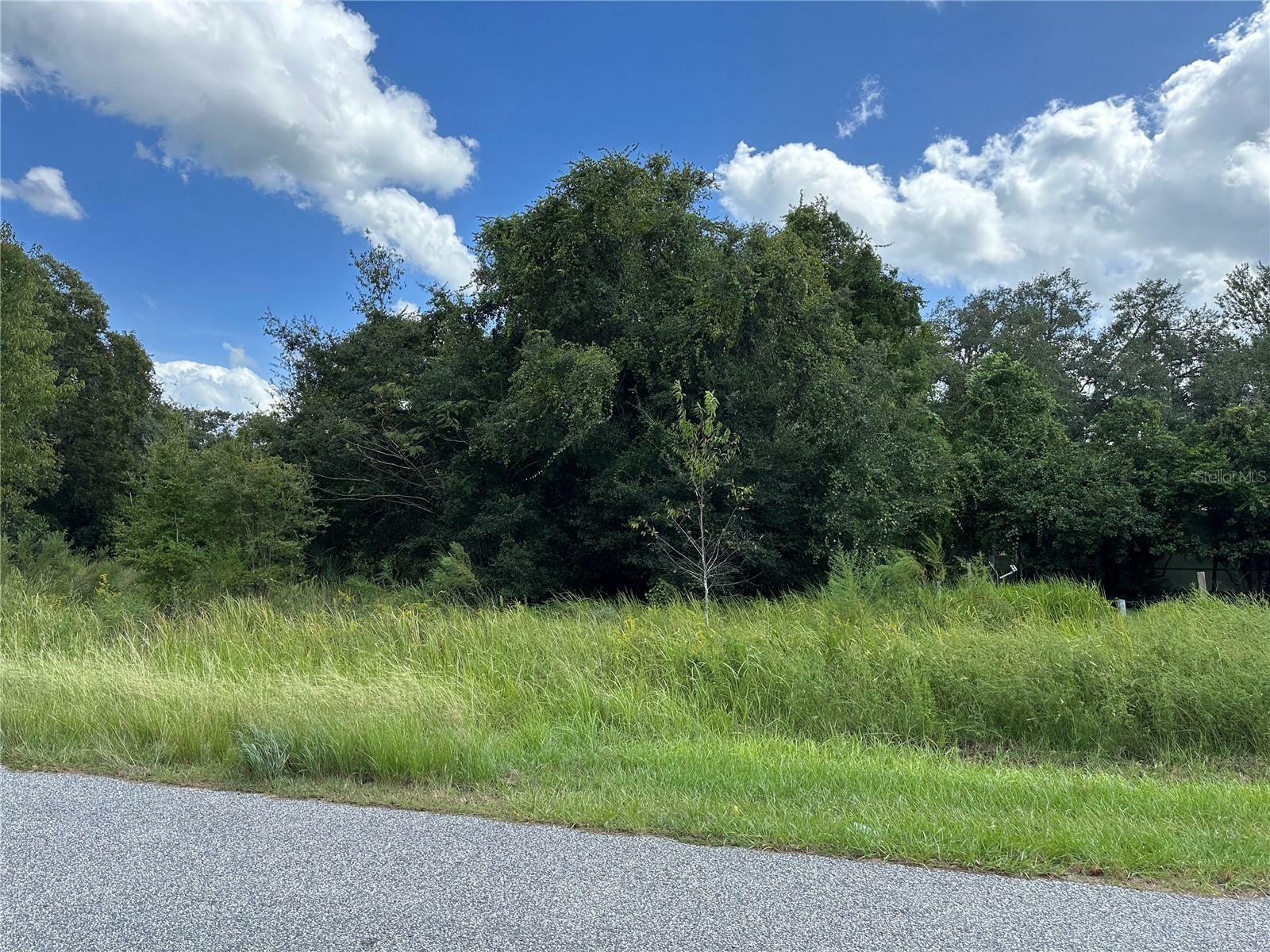 Property Photo:  7037 N Castlebury Road  FL 34442 