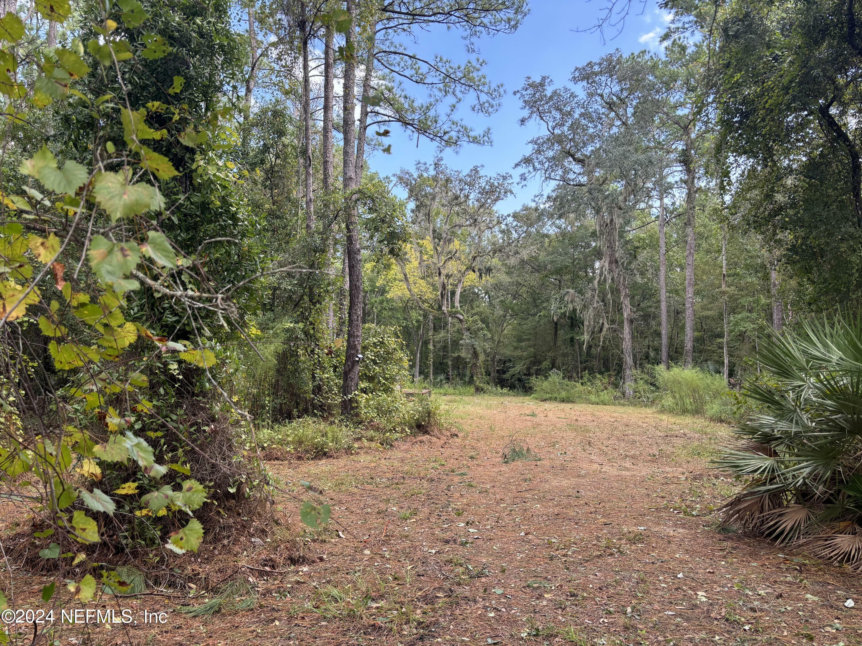 Property Photo:  157 Pine Tree Road  FL 32177 