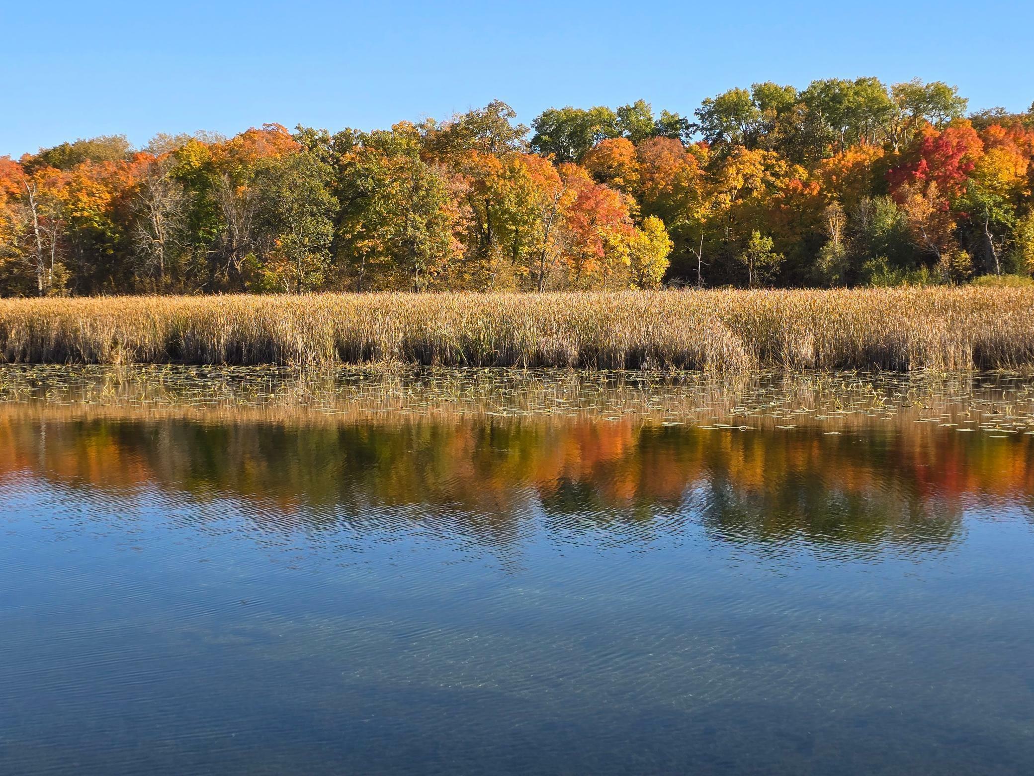 Property Photo:  Tract C Blybergs Lane  MN 56572 