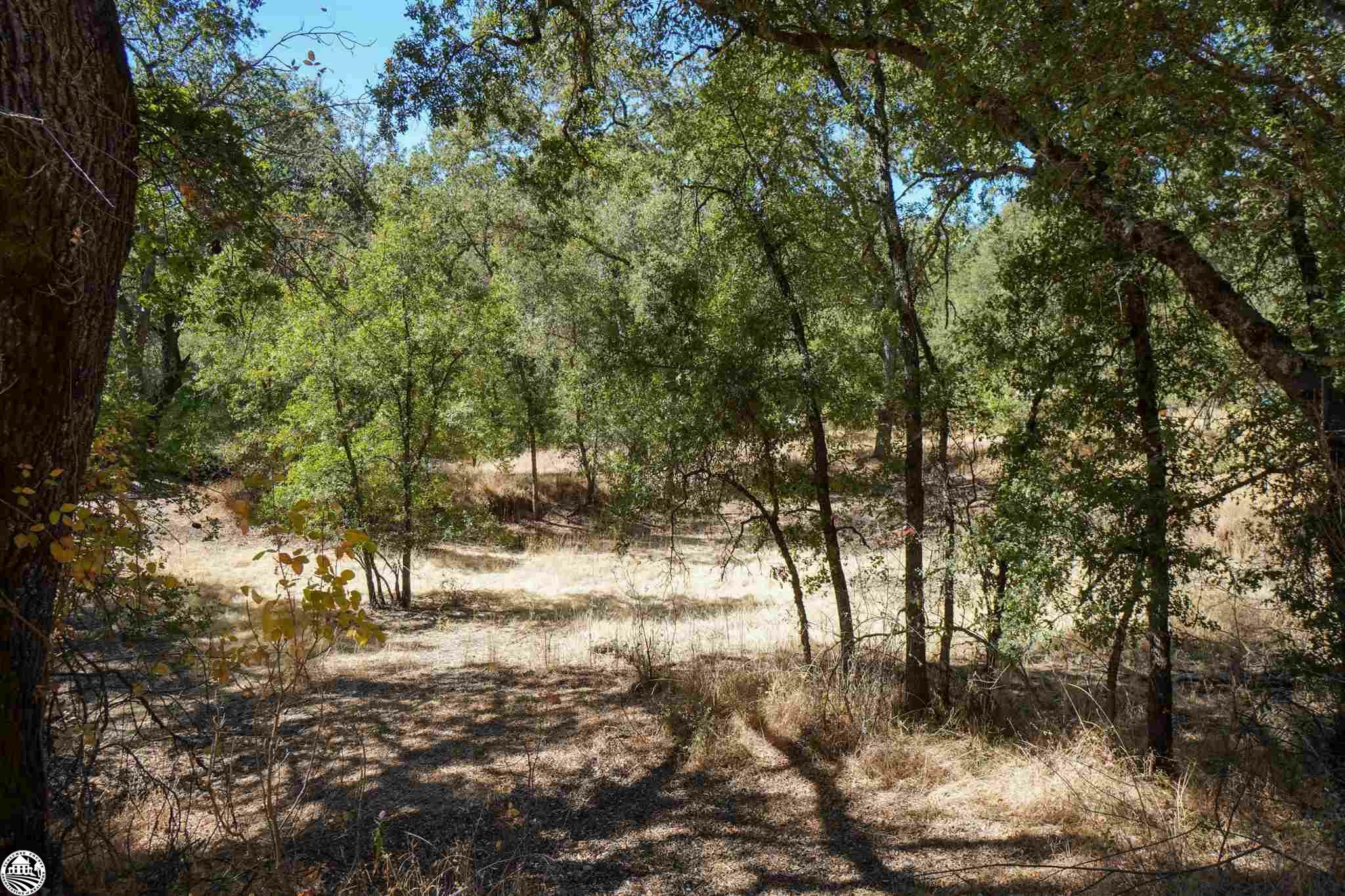 Property Photo:  11480 Racetrack Road  CA 95370 