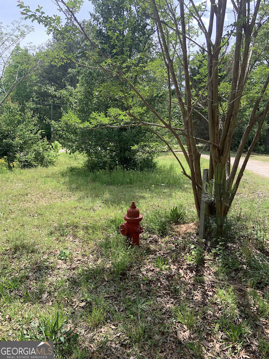 Property Photo: 155 Emily Drive GA 30185