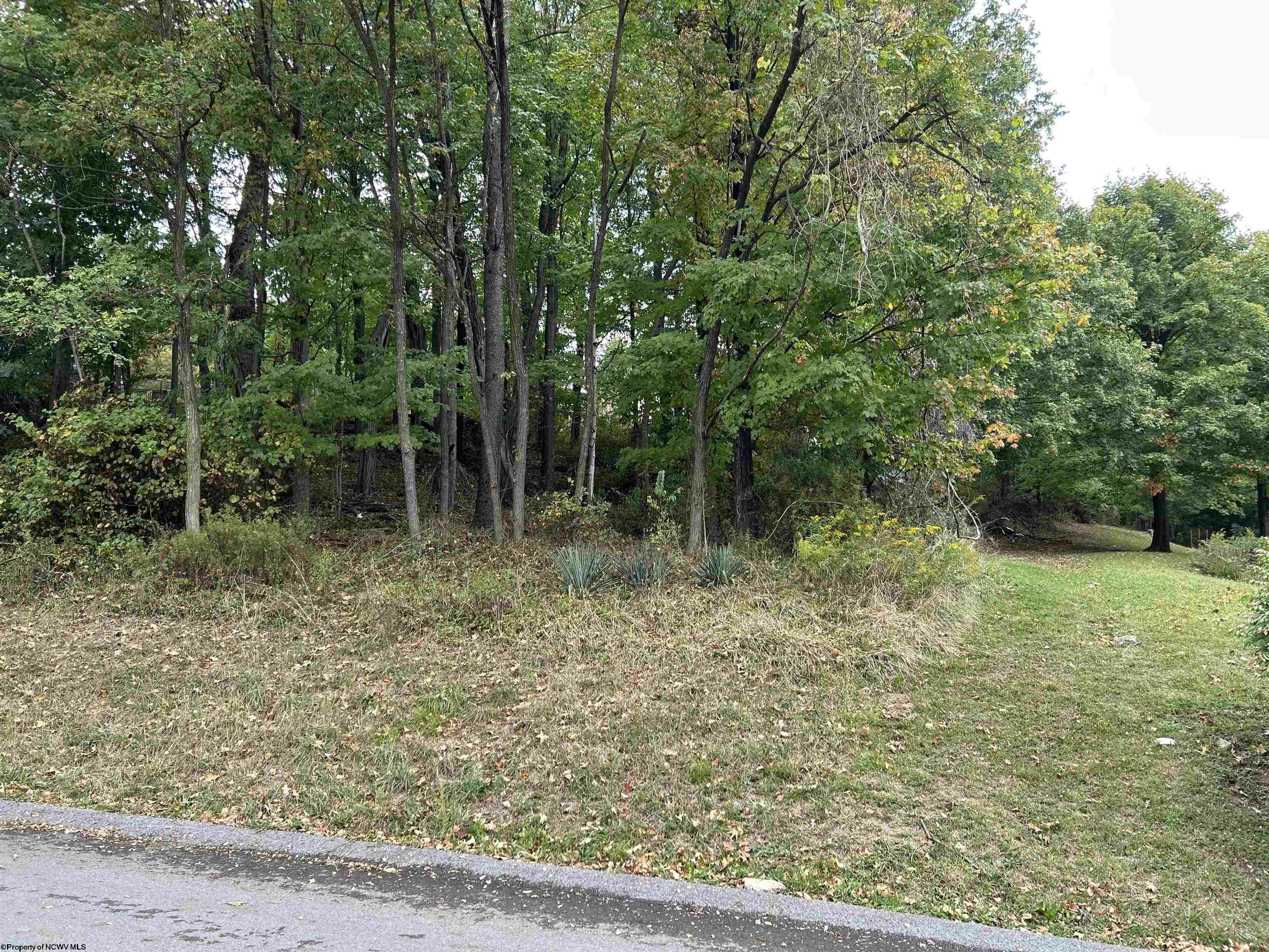 Property Photo:  Lot 45 Courtney Avenue  WV 26501 