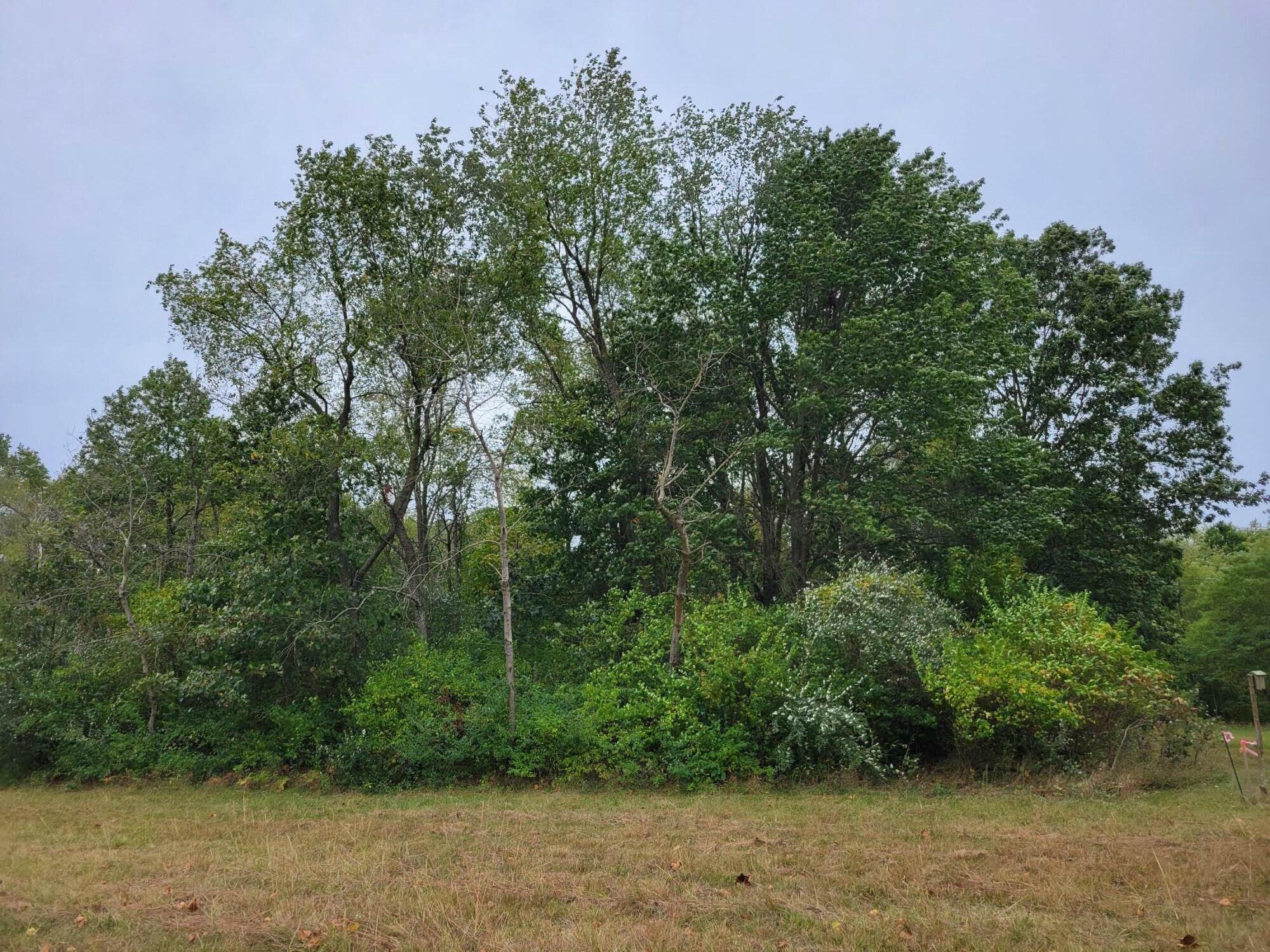 Property Photo:  Lot 1 N 100  IN 46349 