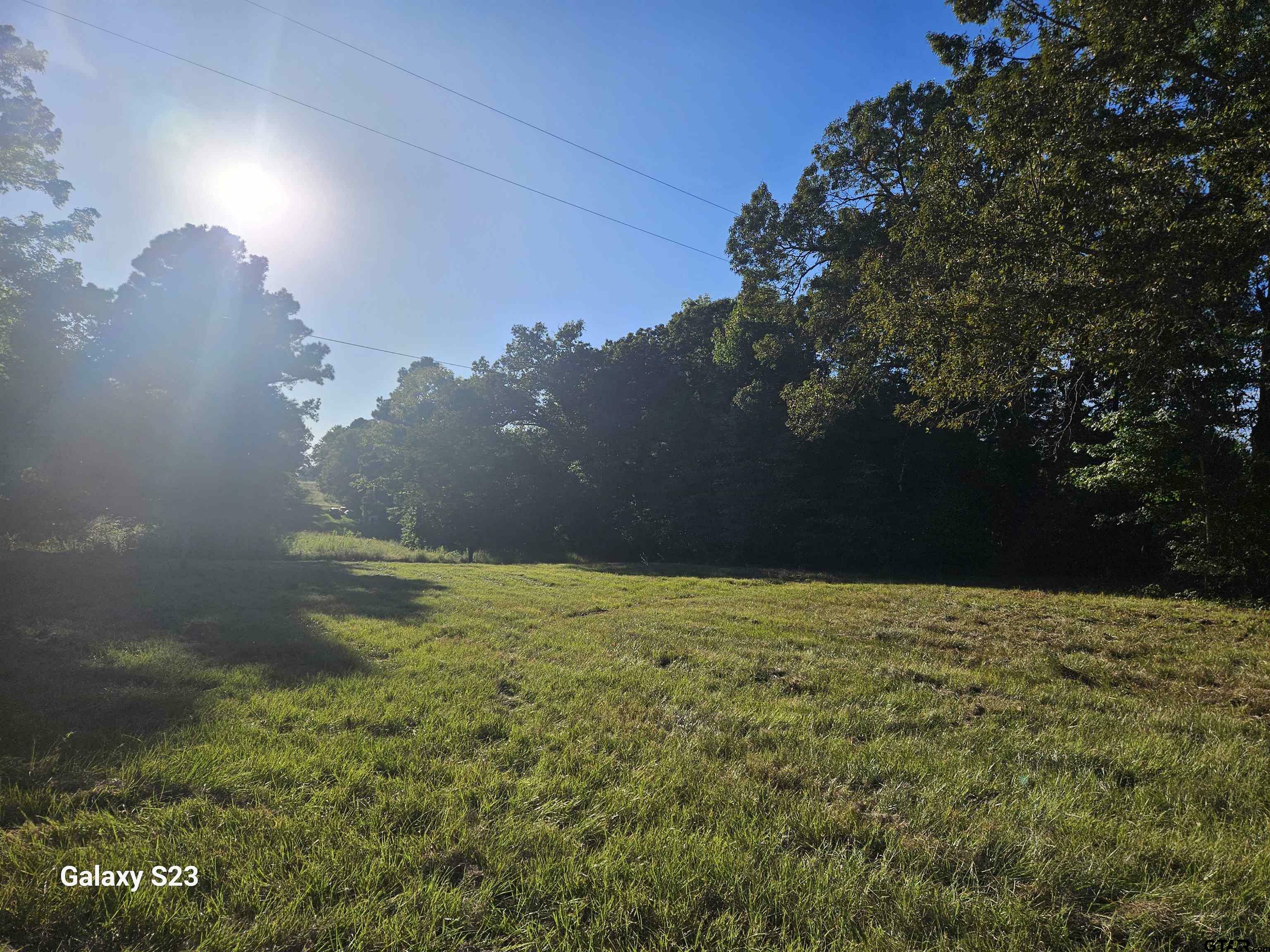 Property Photo:  15830 Shady Creek Road  TX 75705 