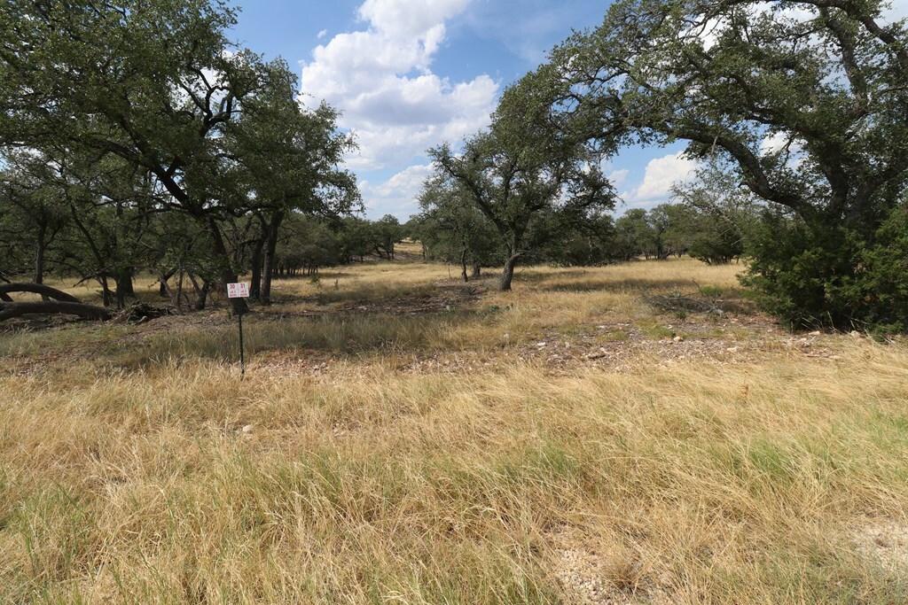 Property Photo:  107 Nott Branch Rd  TX 78631 