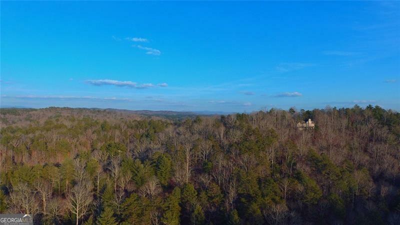 Property Photo:  373 Nomad Court  GA 30734 