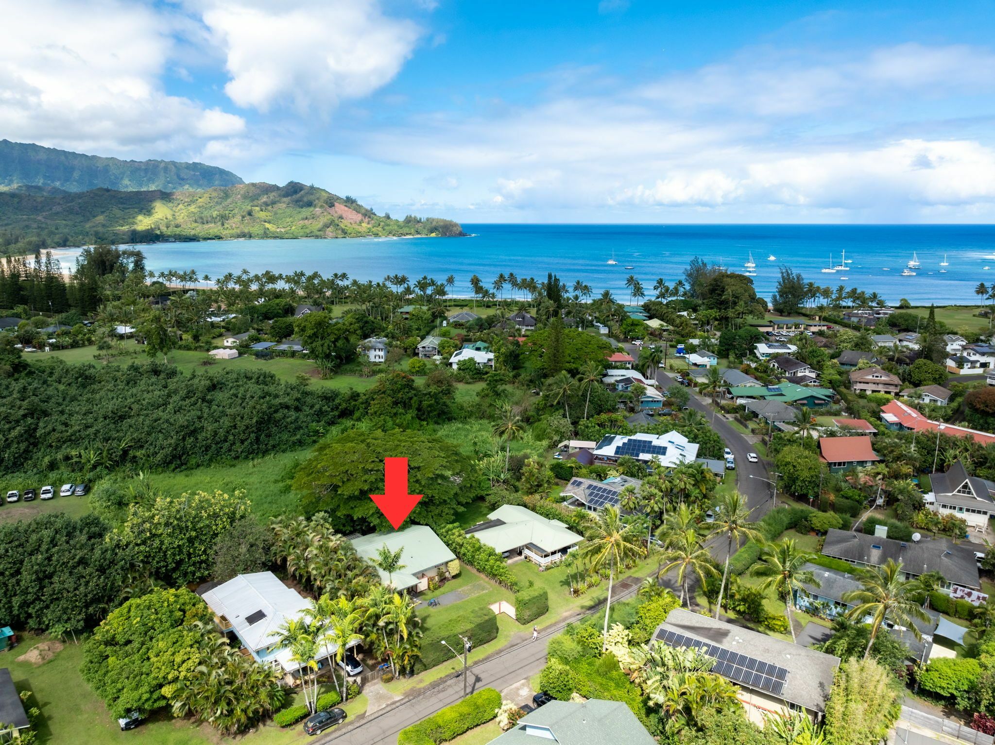 Property Photo:  4460 Aku Rd  HI 96722 