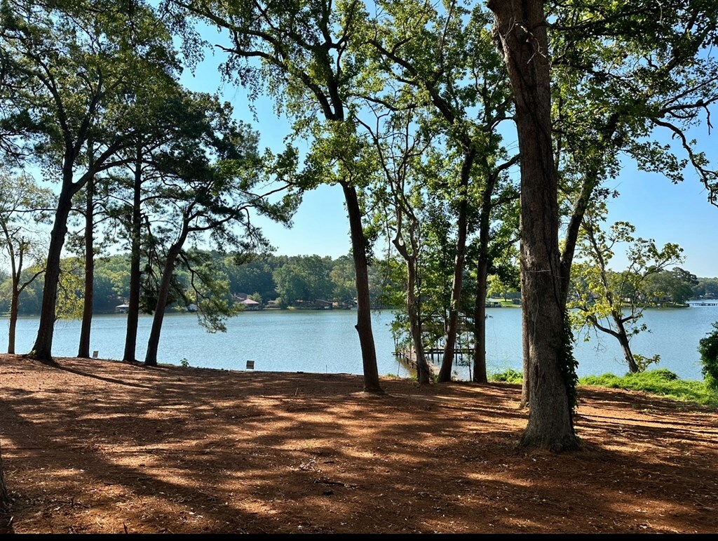 Property Photo: 2432 Lake Park Ln TX 75766