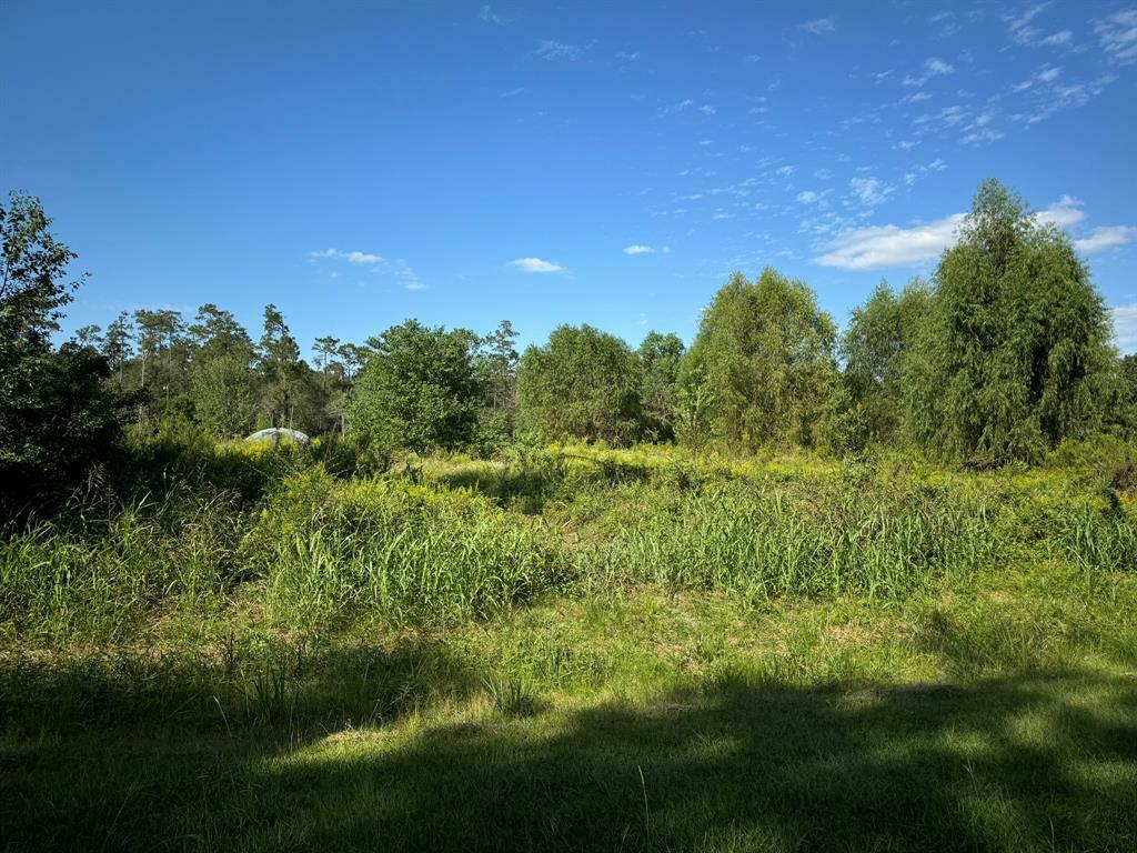 Property Photo:  Lot 71 Pine Park Boulevard  TX 77632 