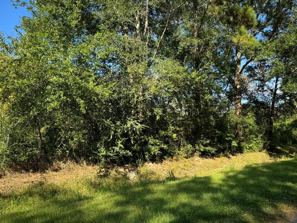Property Photo: Lot 75 Pine Park Boulevard TX 77632
