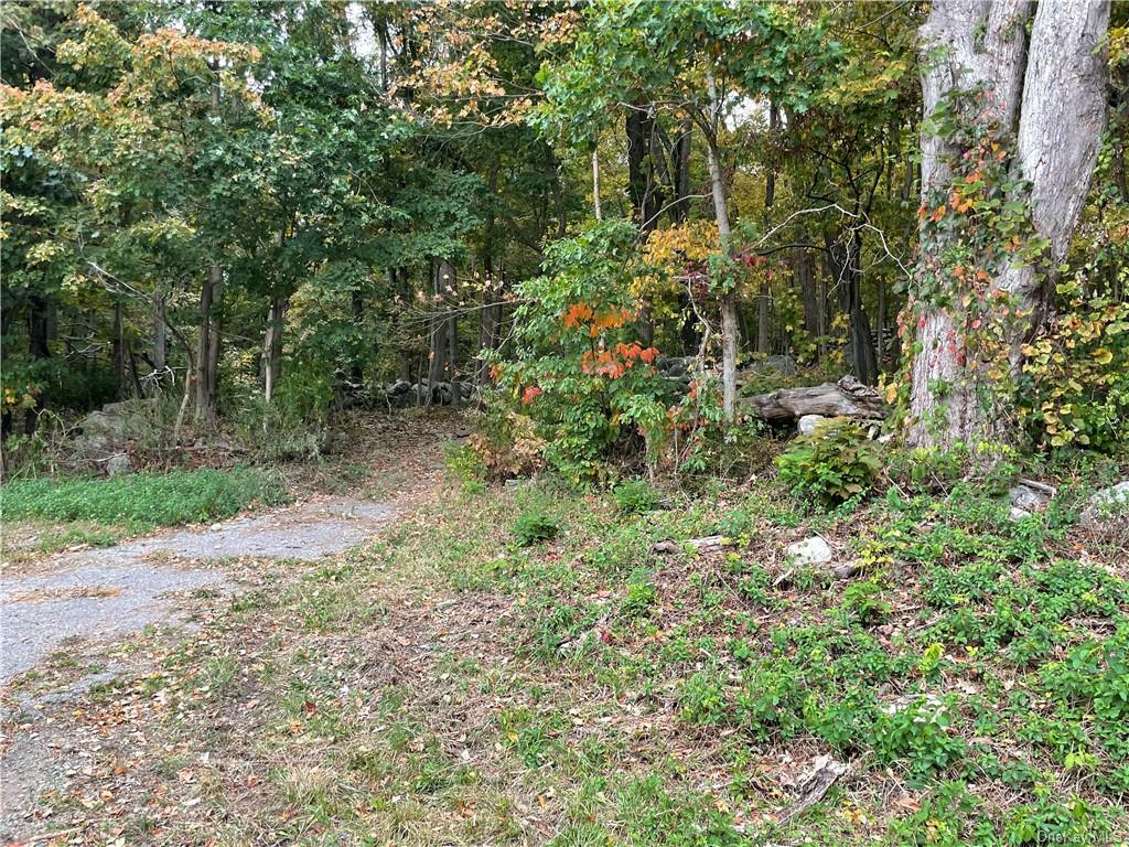 Property Photo:  321 Guinea Road  NY 10509 