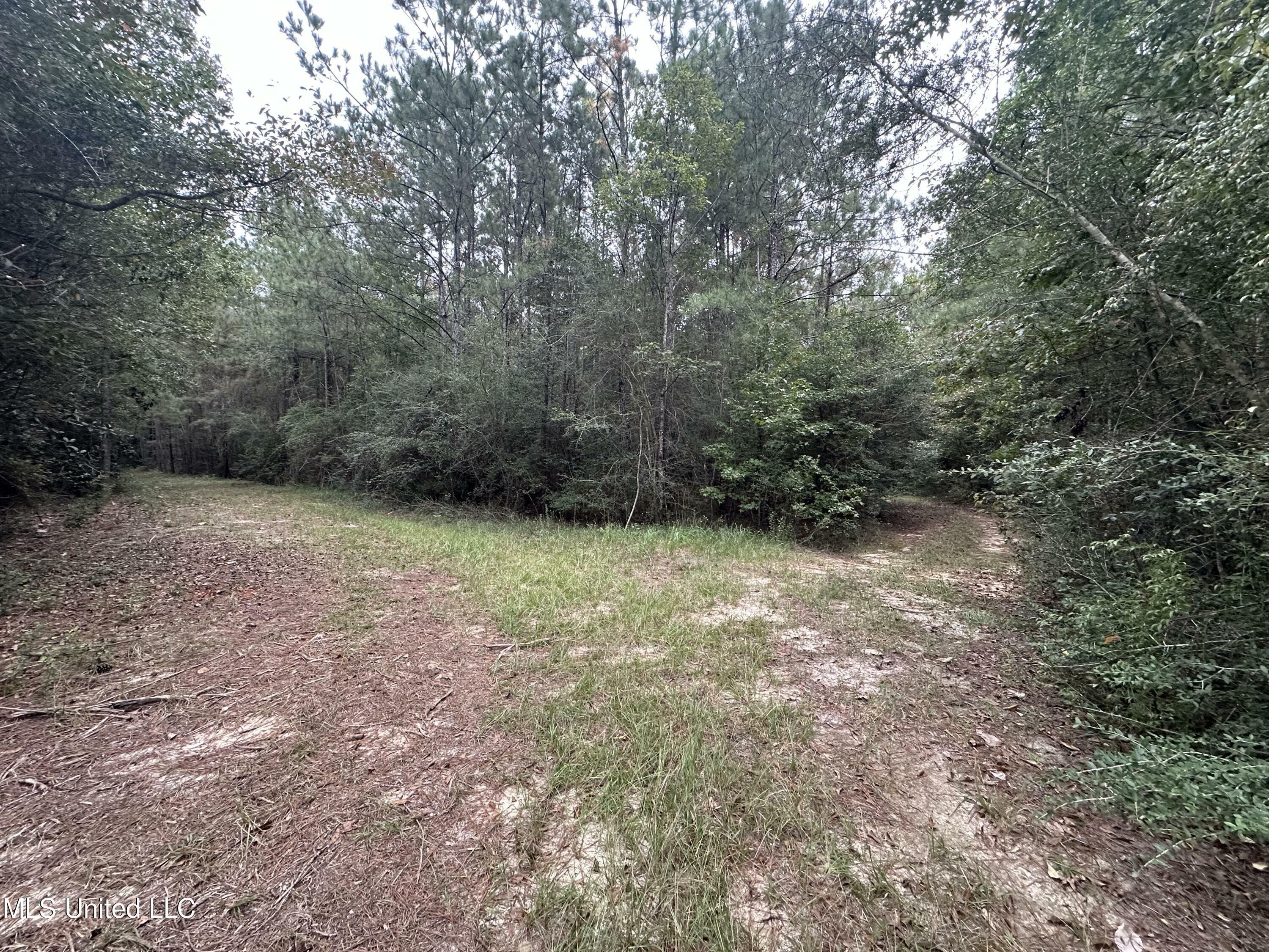 Property Photo:  0 Holder Road  MS 39565 