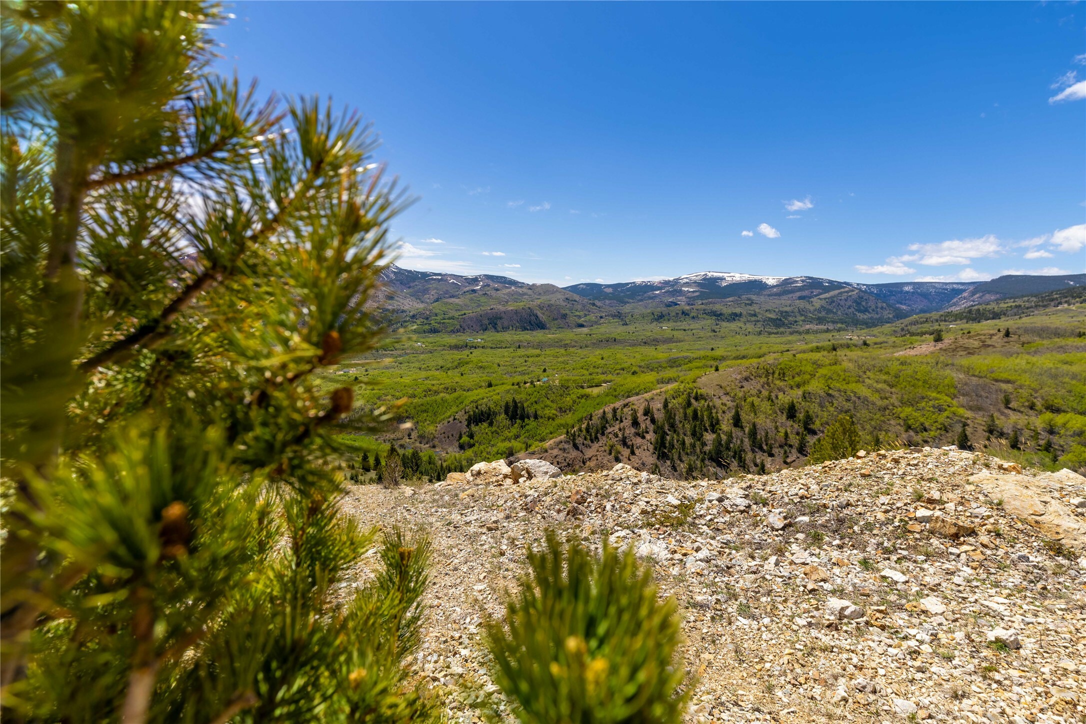 Property Photo:  Lot 66 Alpha Lode Trail  MT 59711 