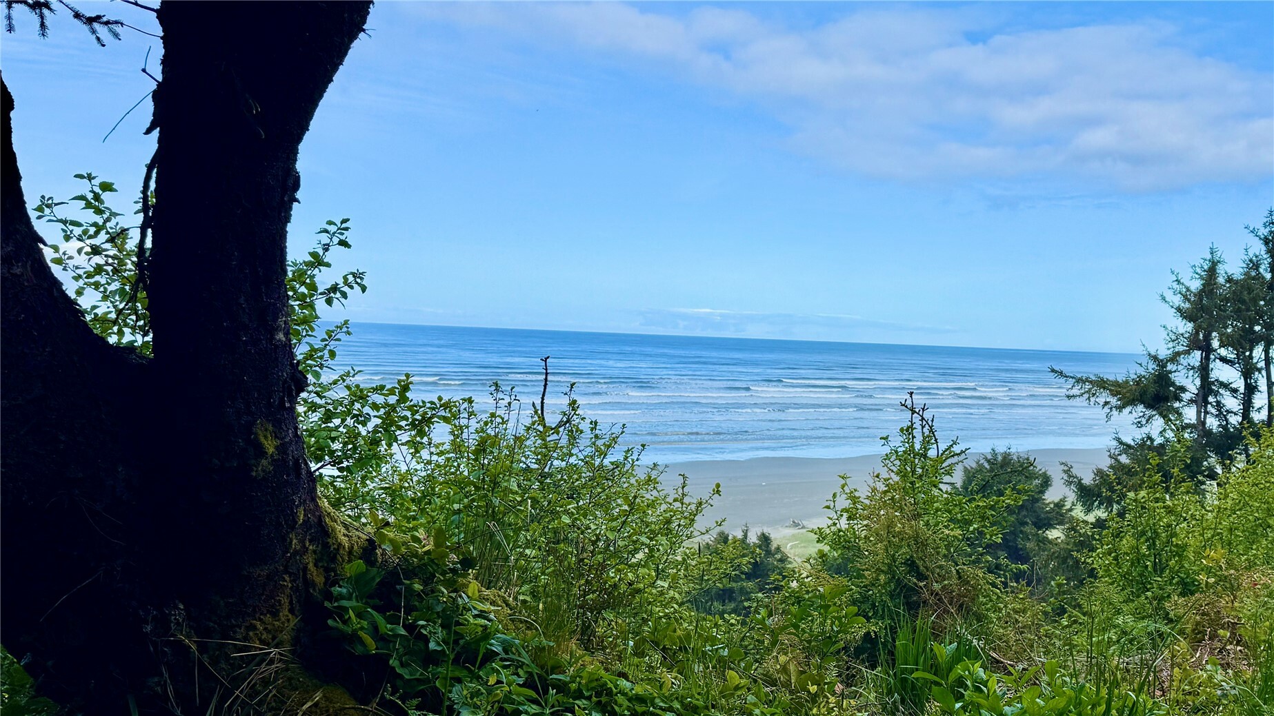 Property Photo: 4653 SR 109 WA 98562