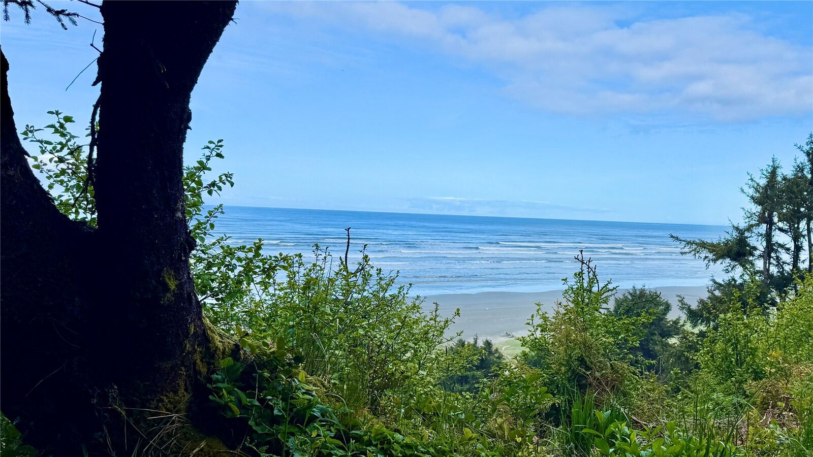 Property Photo:  4653  State Route 109  WA 98562 