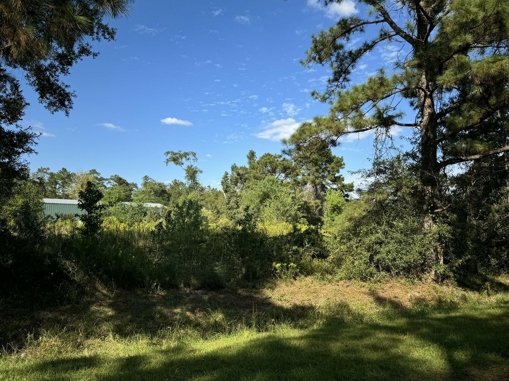 Property Photo:  Lot 72 Pine Park Blvd  TX 77632 