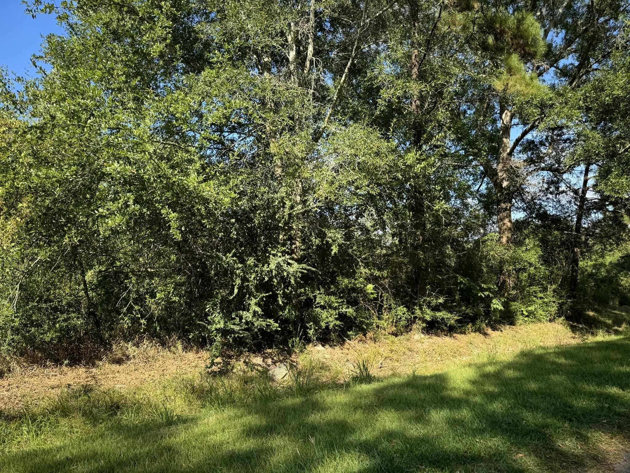 Property Photo:  Lot 70 Pine Park Blvd.  TX 77632 