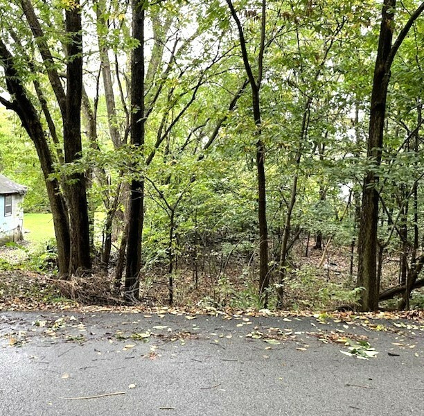 Property Photo:  Lot 61of Sec 21 Ontario Street  IL 60436 