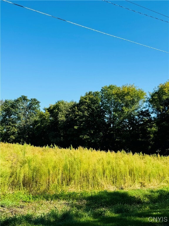 Property Photo:  Lot 4D Carpenter Avenue  NY 13073 