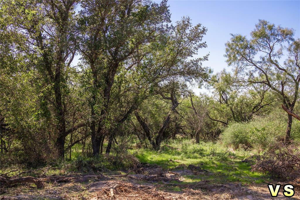 Lot 6 County Road 489  May TX 76857 photo