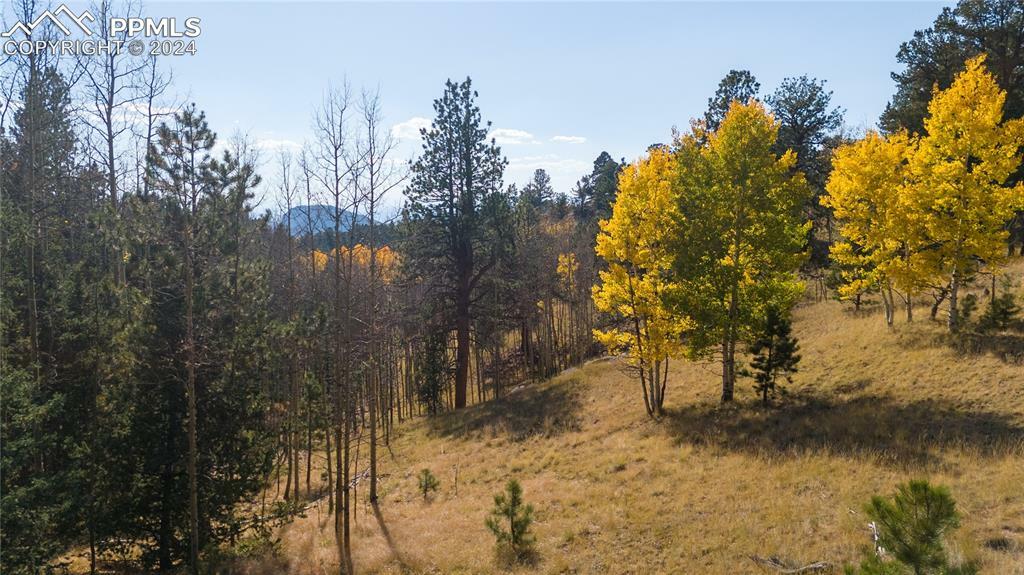 Property Photo: 1734 May Queen Drive CO 80813