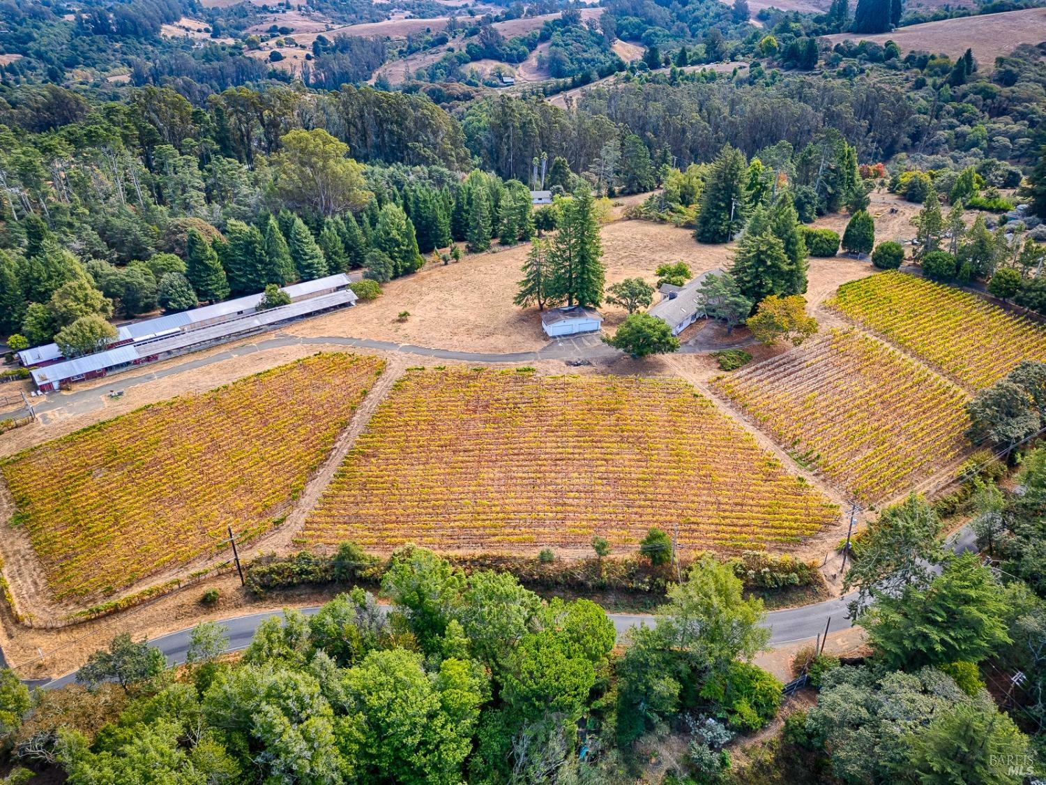 Property Photo:  2875 Burnside Road  CA 95472 