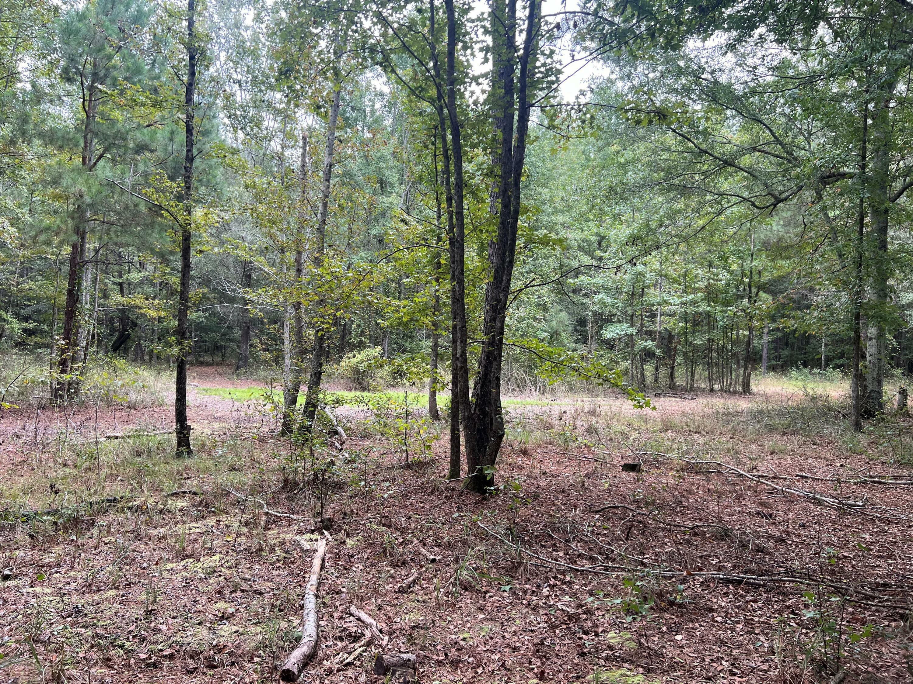 Property Photo: Tbd Wild Turkey Road SC 29030