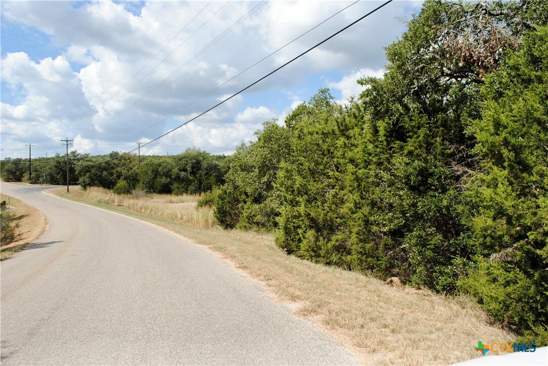 Property Photo:  472 Falconwood Drive  TX 78666 