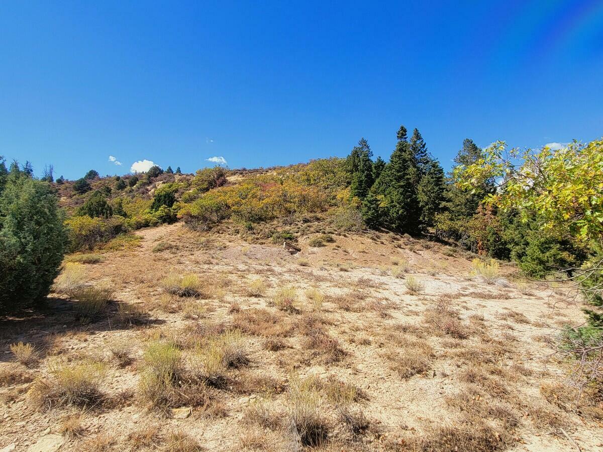 Property Photo:  Lot 16 White Sands Loop  UT 84762 