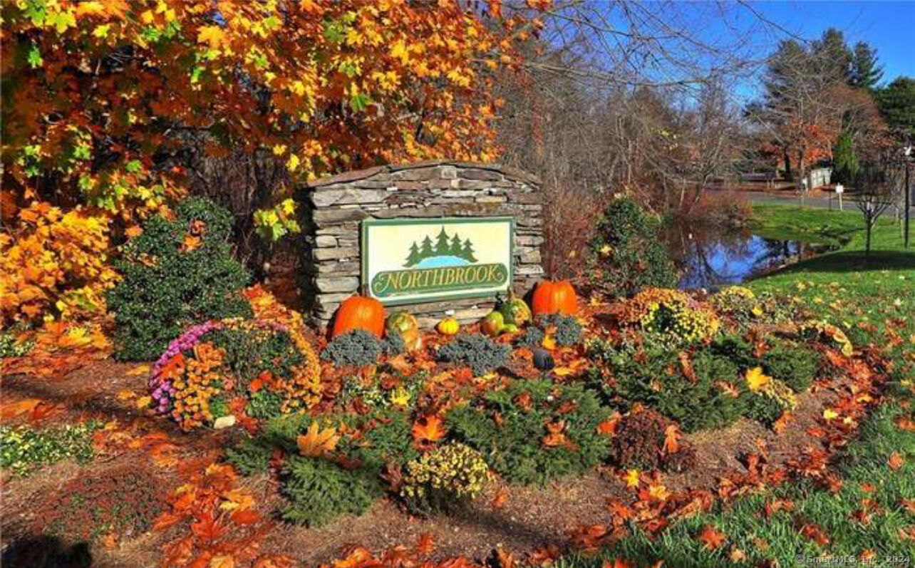 Property Photo:  13 Hollow Tree Lane 13  CT 06468