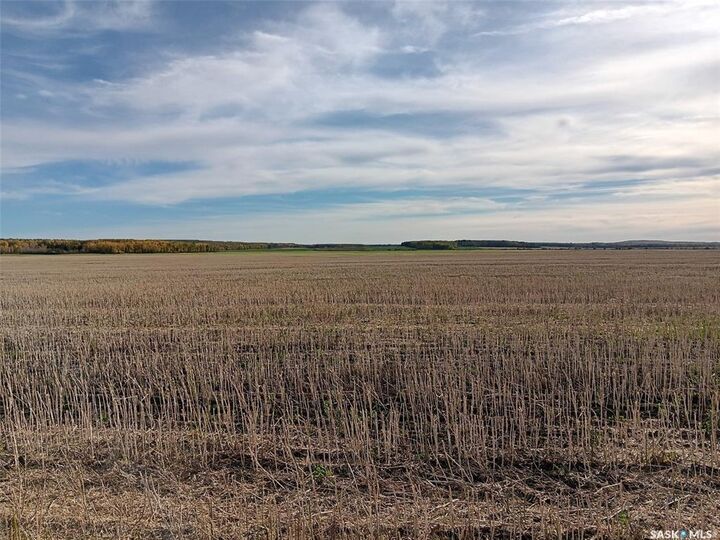 Property Photo:  Rural Address  SK S0E 0A0 