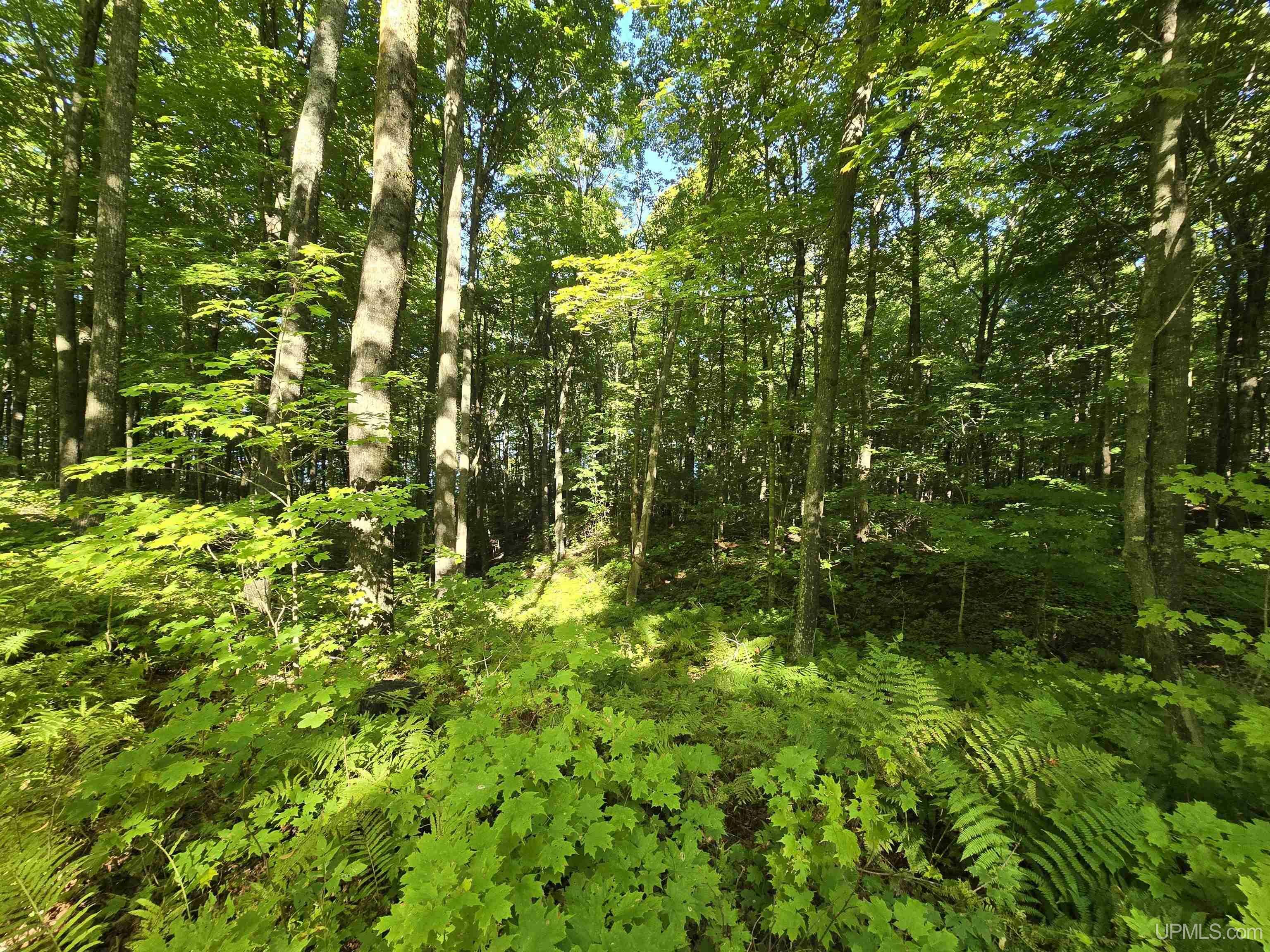 Property Photo: Unit 12 Redridge Creek Road MI 49905