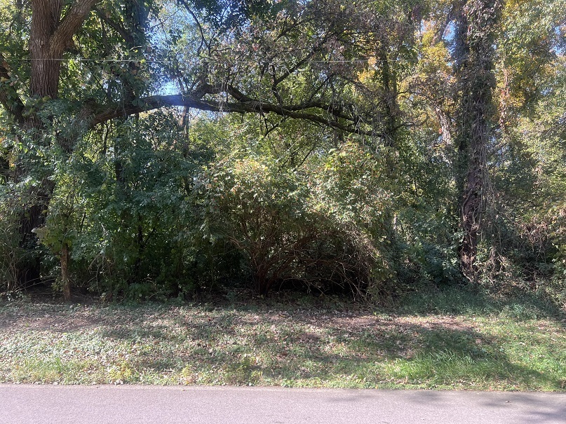 Property Photo:  Lot 4 McCornack Road  IL 60124 