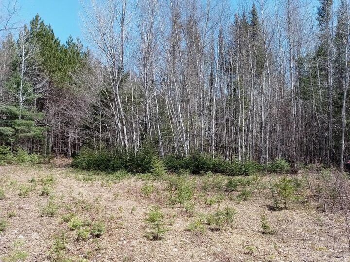 Property Photo:  Acreage  PE C0B 1H0 