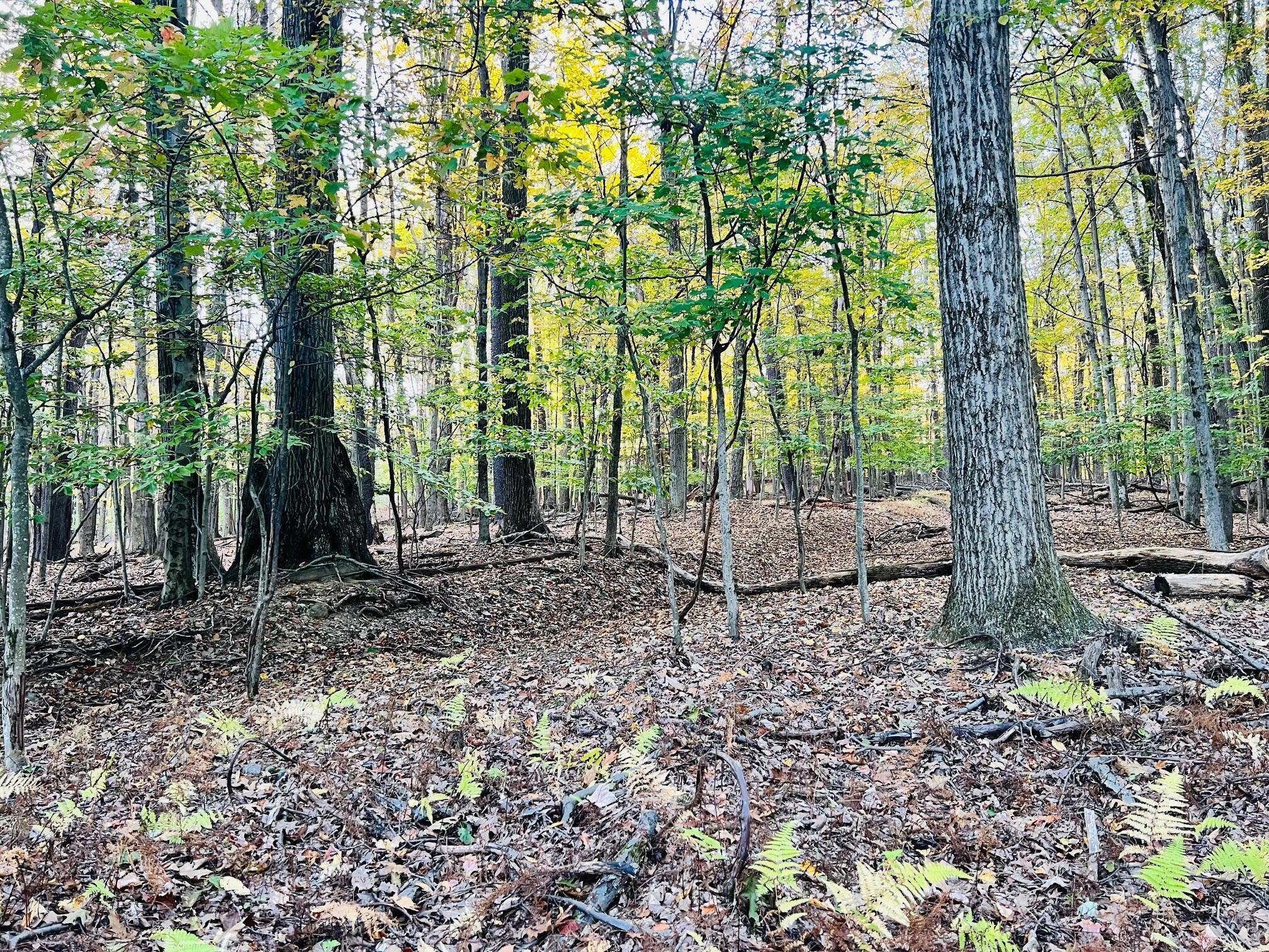 Property Photo:  11 Tradewinds Rd  PA 15801 