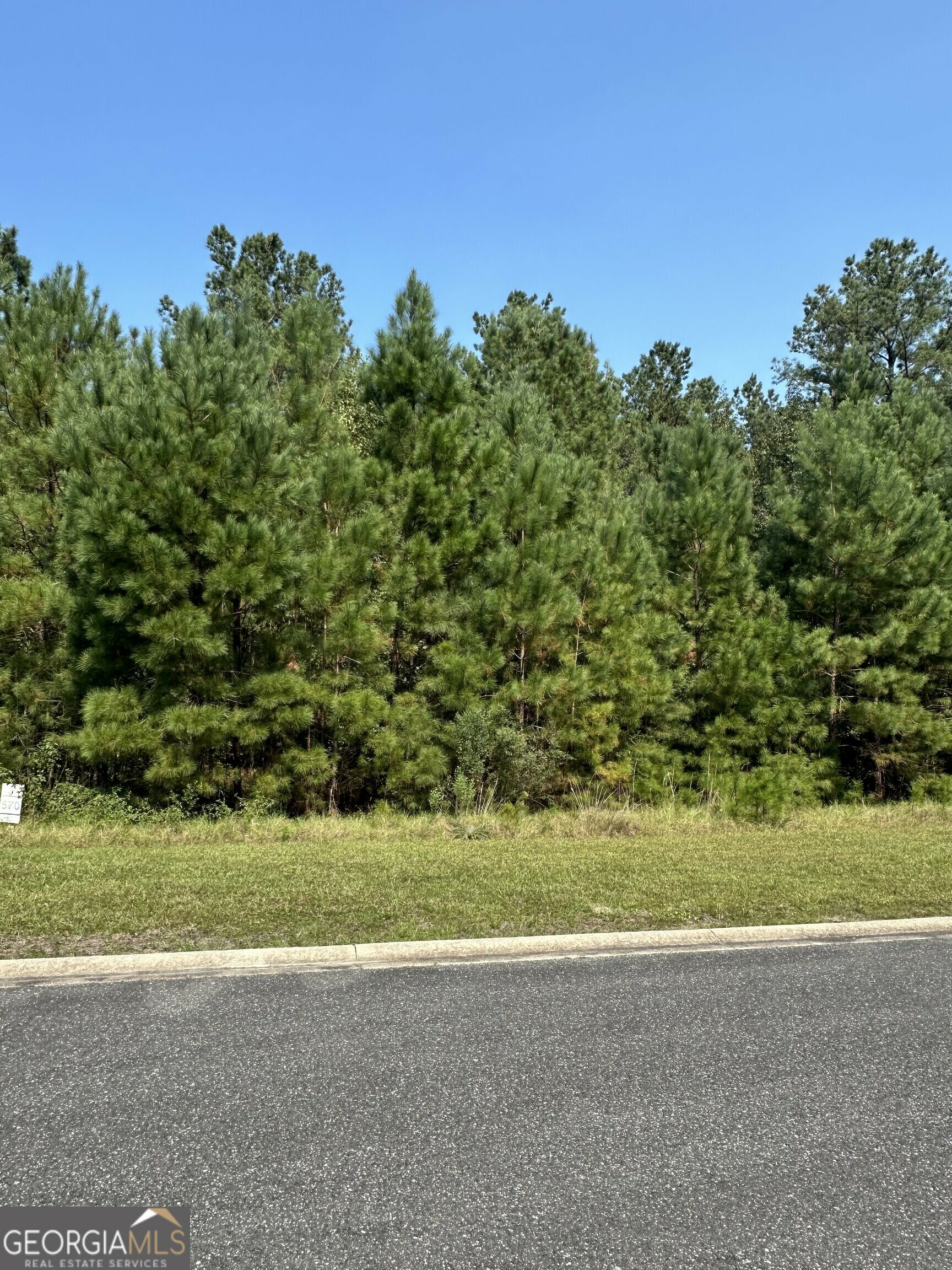 Property Photo:  V/L 570 Shoreline Drive  GA 31548 