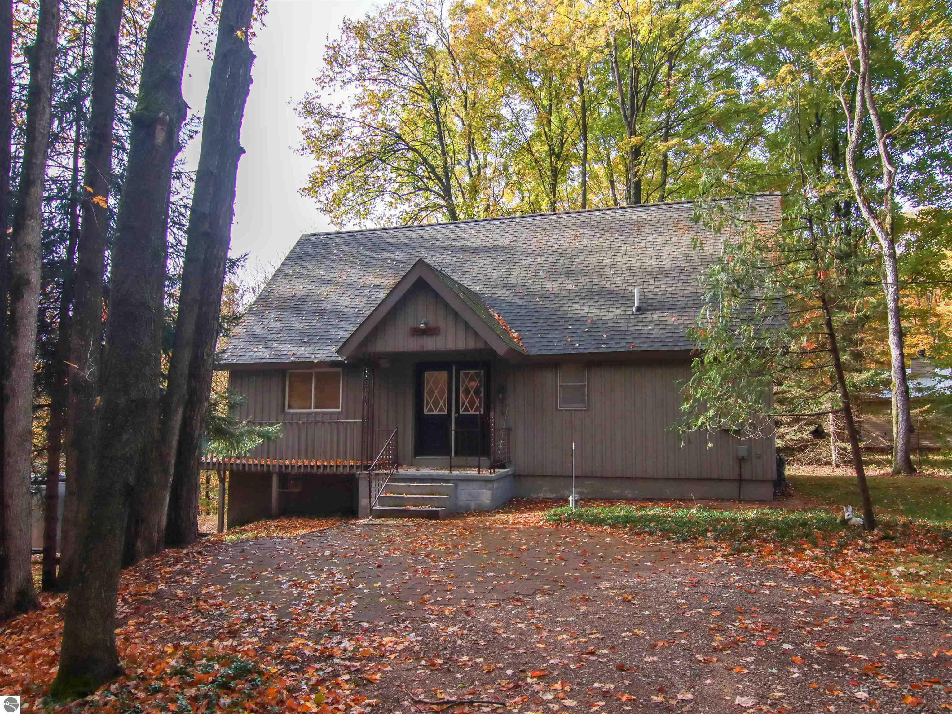 Property Photo:  18375 Timberline Drive  MI 49683 