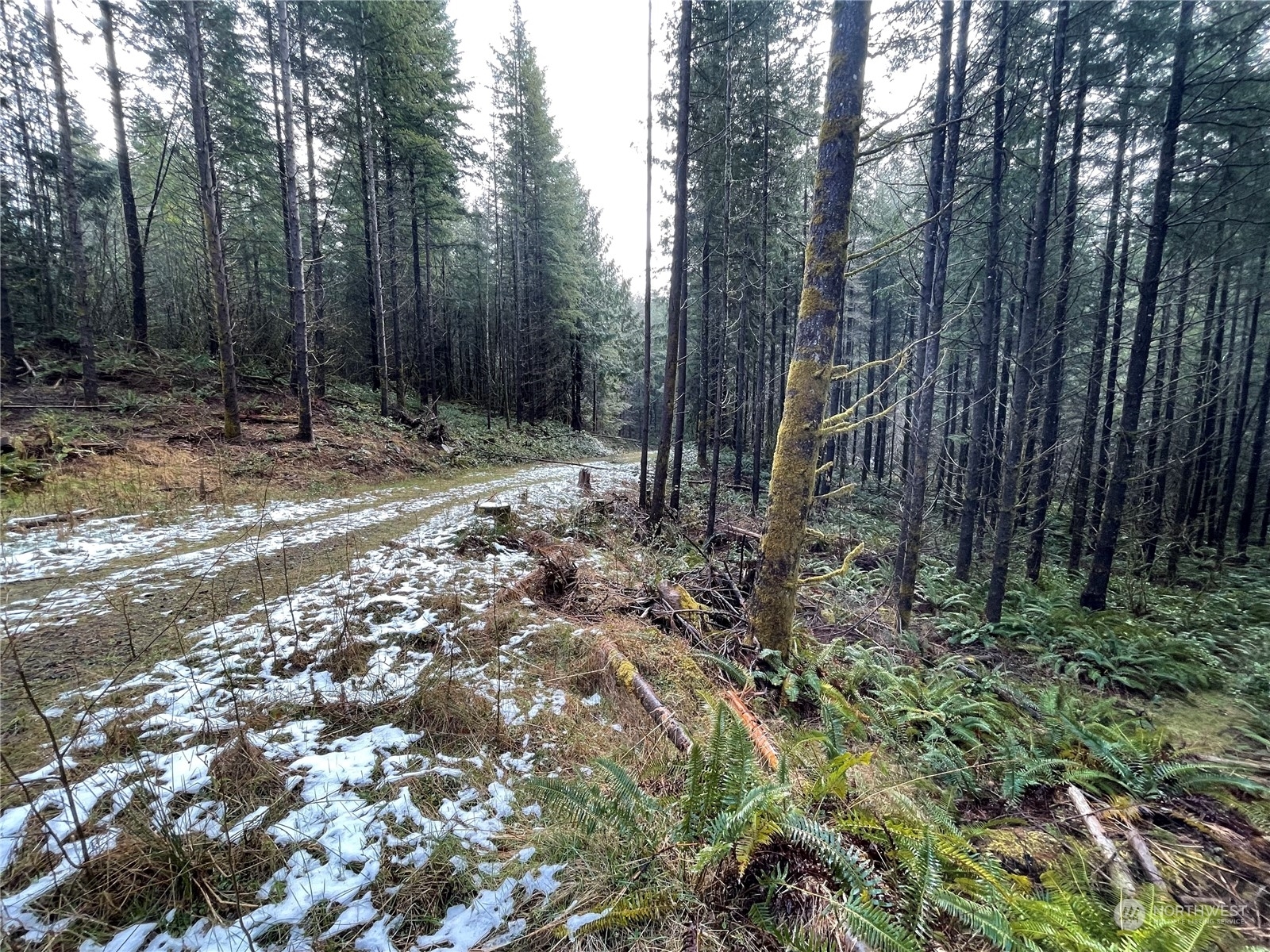 Property Photo:  0 Lot D NE Westerholm Road  WA 98606 